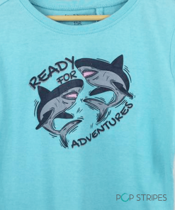ready for adventures sharks 2